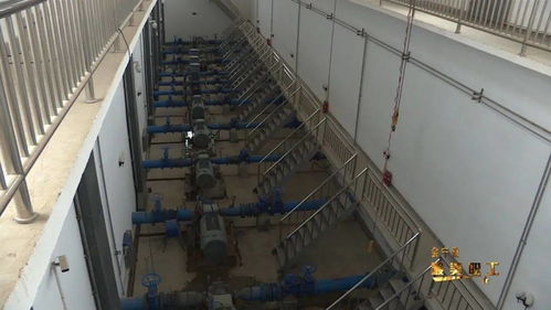 武继 不题水长而伴流水——天命之年的南亚传管道一生